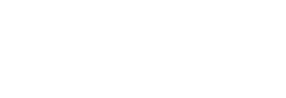 Logo_Vasa